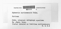 Image Associated With the Occurence